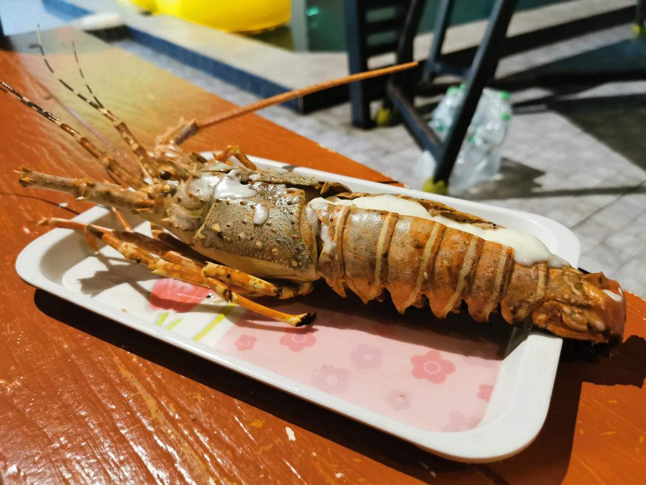 กุ้งมังกร