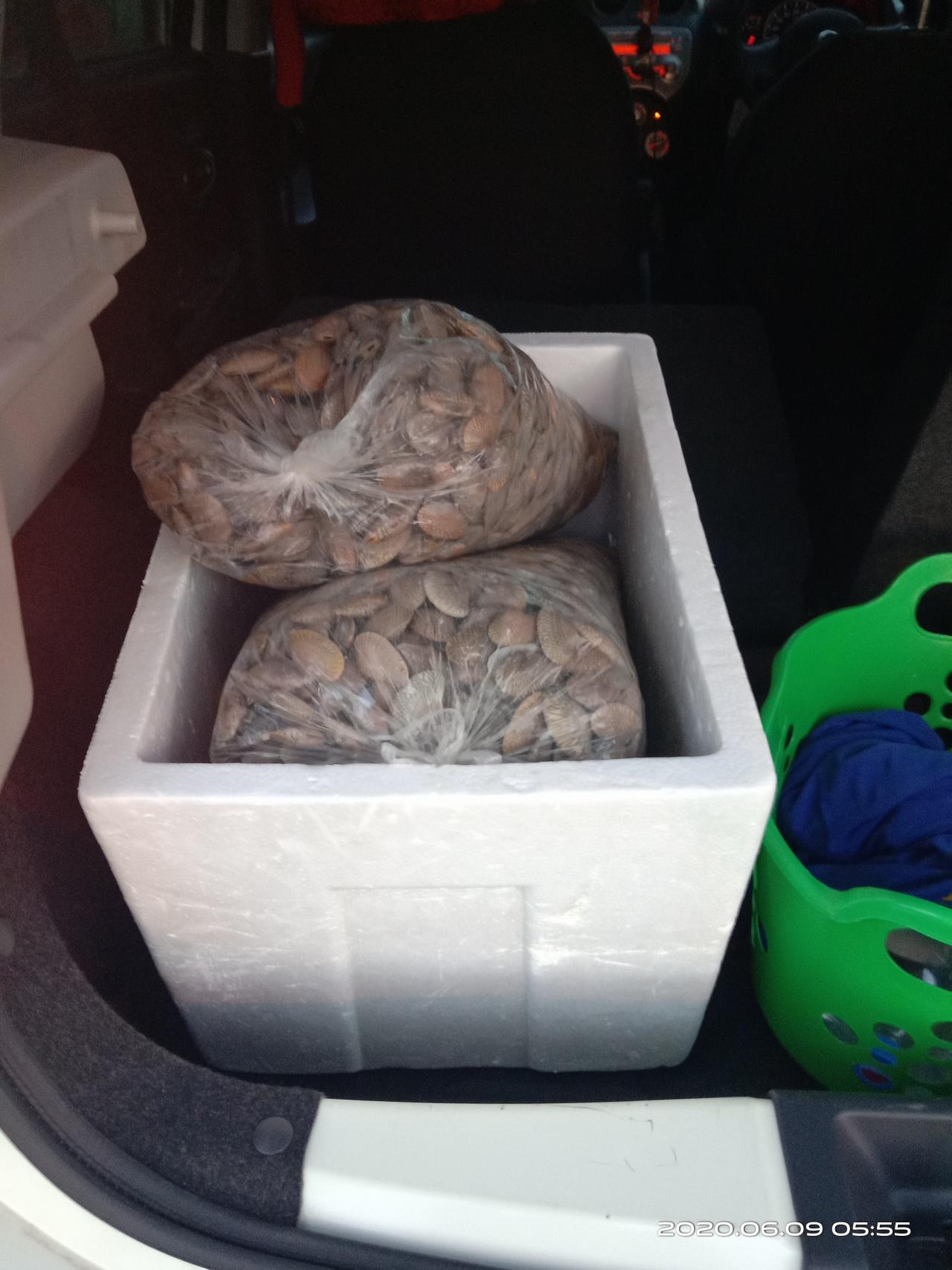 Profile อาหารทะเล มดเอ็ดเอย หอยสดๆ0624943231