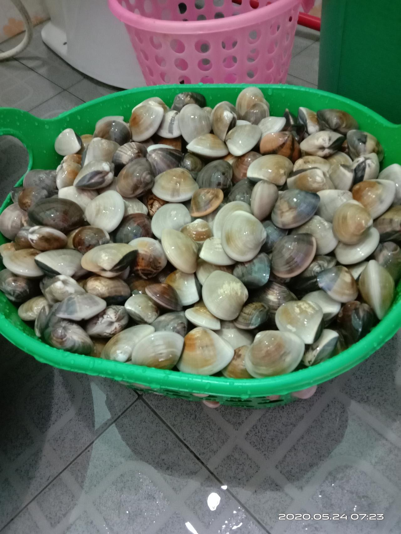 Profile อาหารทะเล มดเอ็ดเอย หอยสดๆ0624943231