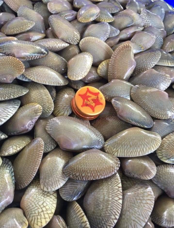 Profile อาหารทะเล มดเอ็ดเอย หอยสดๆ0624943231